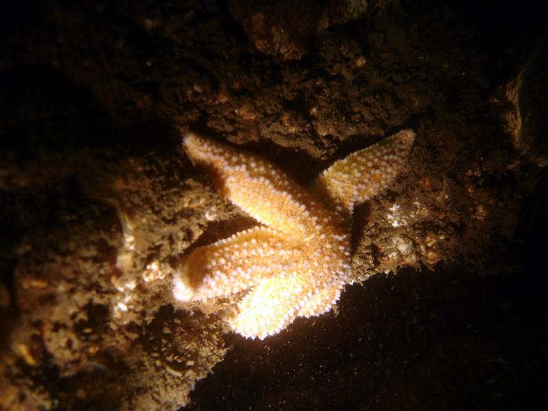 07 ZL 015.JPG